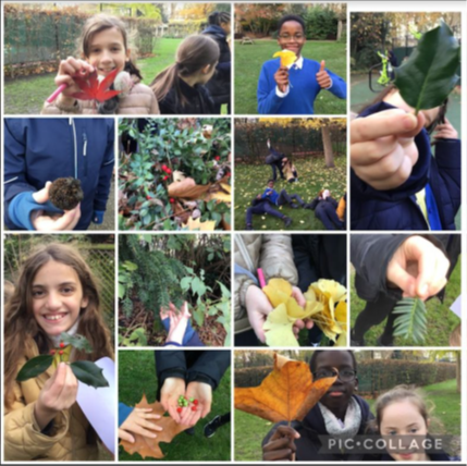 Photo college of children at a forest school